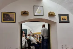 vinceller11