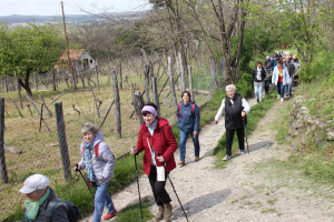 Szent György-hegyi napok 2023 - Kápolna zarándok út